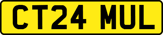 CT24MUL