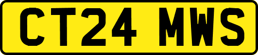 CT24MWS