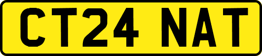 CT24NAT