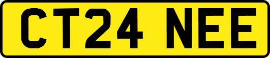 CT24NEE