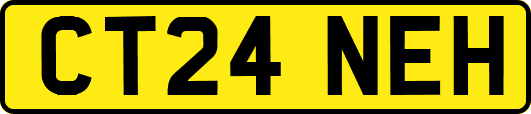 CT24NEH