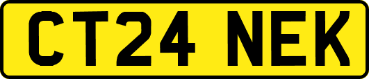 CT24NEK