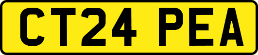 CT24PEA