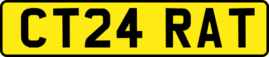 CT24RAT