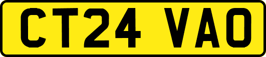 CT24VAO