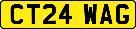 CT24WAG