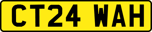 CT24WAH
