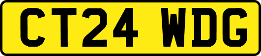 CT24WDG
