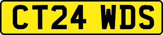 CT24WDS