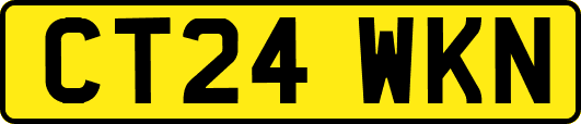 CT24WKN