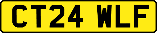 CT24WLF