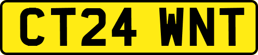 CT24WNT