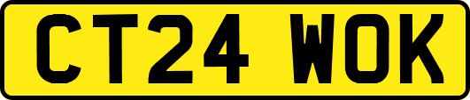 CT24WOK