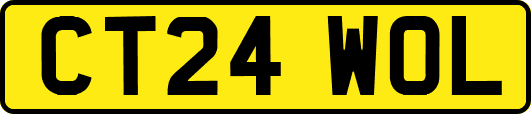 CT24WOL