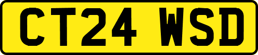 CT24WSD