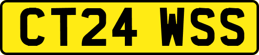 CT24WSS