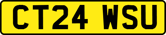 CT24WSU