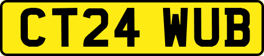 CT24WUB