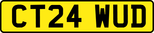 CT24WUD
