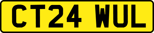 CT24WUL