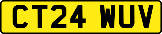 CT24WUV