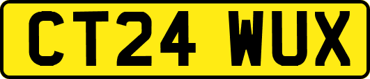 CT24WUX