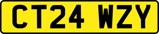 CT24WZY