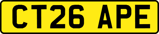 CT26APE
