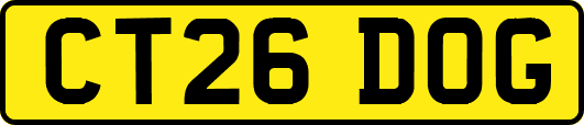 CT26DOG