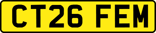 CT26FEM
