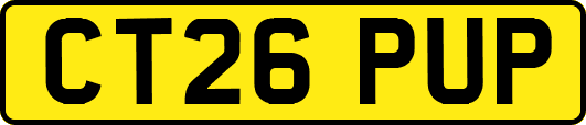CT26PUP