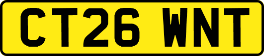 CT26WNT