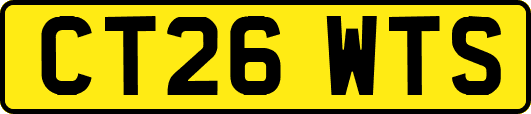 CT26WTS