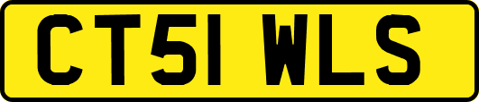 CT51WLS