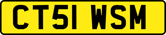 CT51WSM