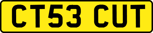 CT53CUT