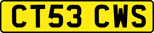 CT53CWS
