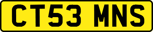 CT53MNS