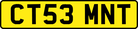 CT53MNT