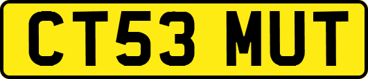 CT53MUT