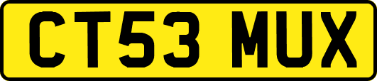 CT53MUX