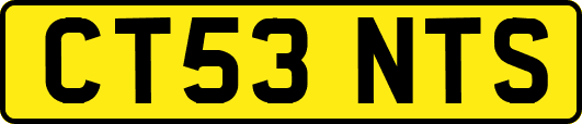 CT53NTS