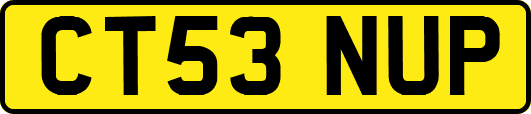 CT53NUP