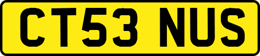 CT53NUS