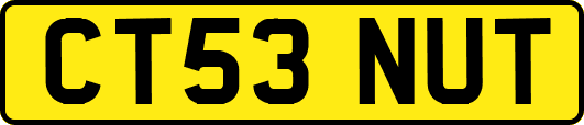 CT53NUT