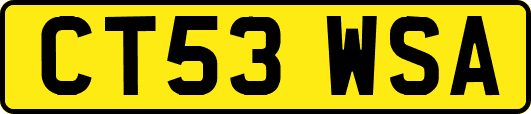 CT53WSA