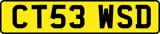 CT53WSD