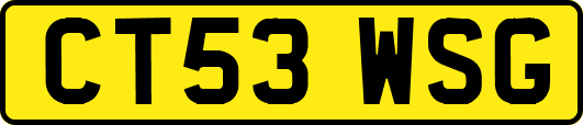CT53WSG