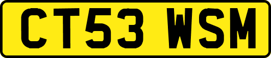 CT53WSM