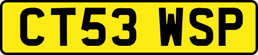 CT53WSP